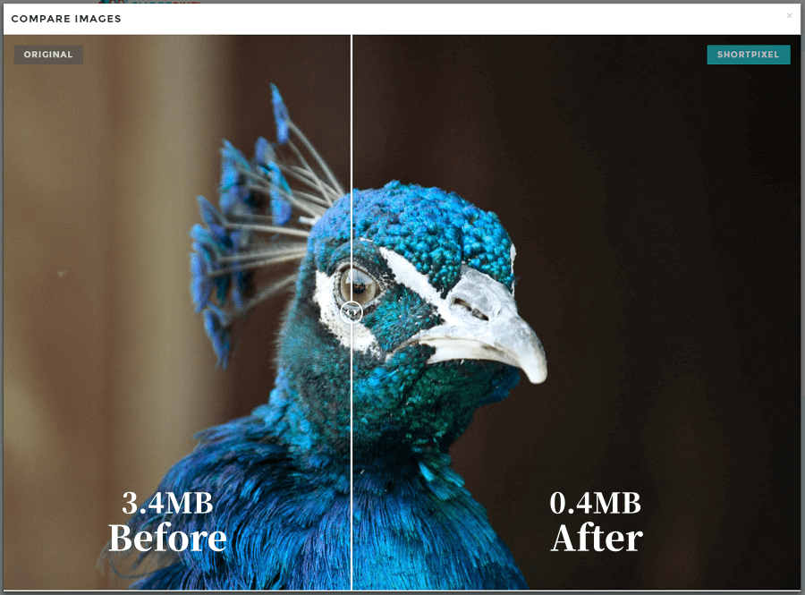使用ShortPixel 图片压缩工具超高压缩率，肉眼分辨不出来-酷客趣享