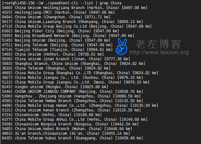 列出所有中国节点服务器